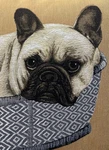 Iosis Paris Tapestry Throw Down Pillow French Bulldog Tan Gray 17. Fixed Price $49.00.